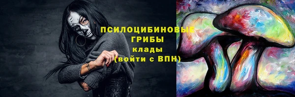 а пвп мука Армянск