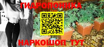 мдма Новозыбков