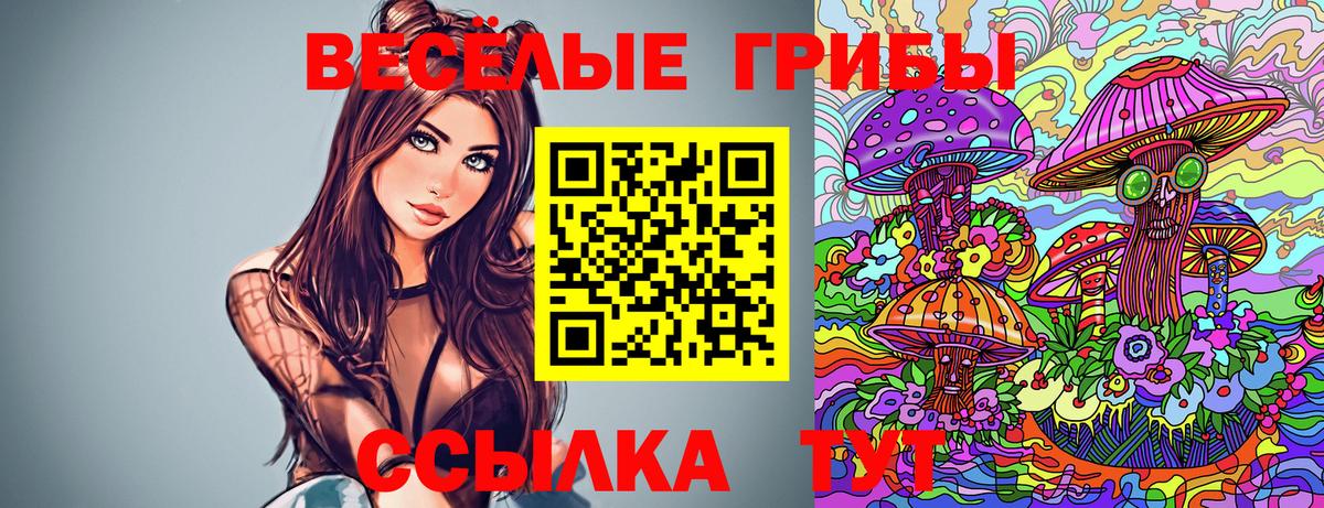Нарьян-Мар  Псилоцибиновые грибы мухоморы  Вход с VPN 